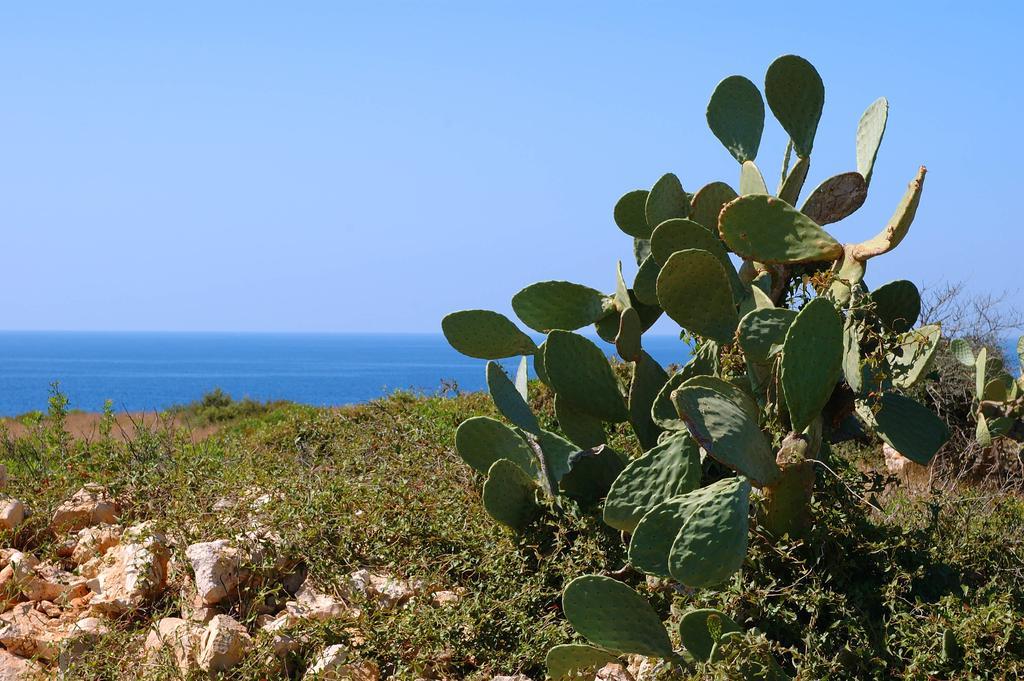 Salento Tra Mare E Cielo Nardo Room photo